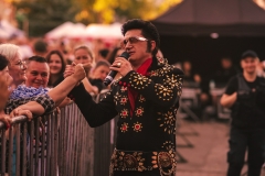 450077407_903081185196759_471943561458558095_n-kopia